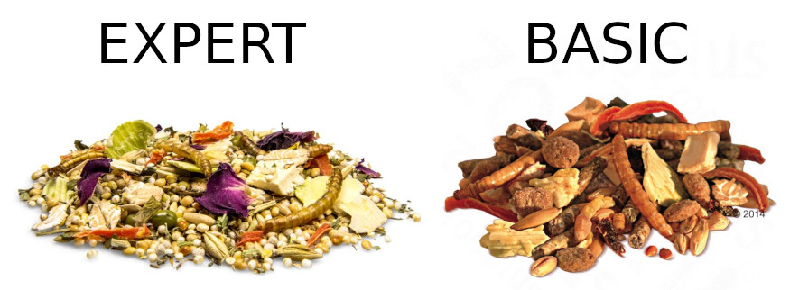 dvärghamsterdröm expert vs basic